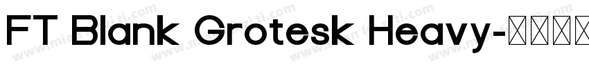 FT Blank Grotesk Heavy字体转换